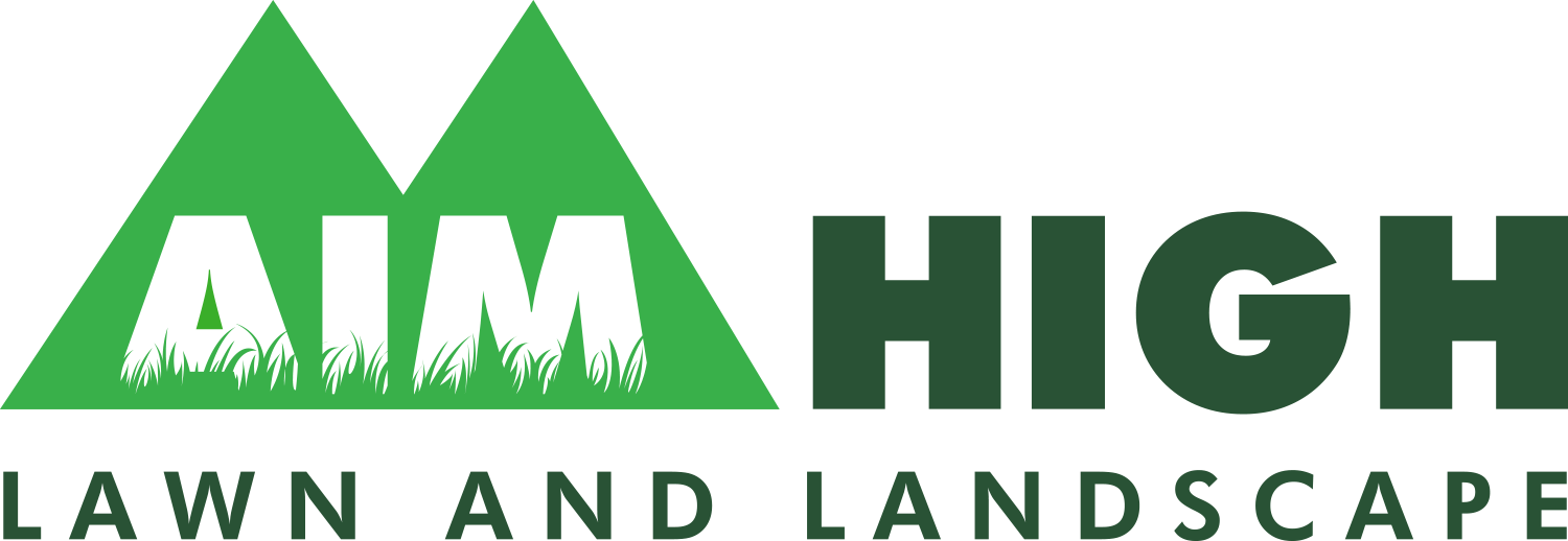 Aim-High-logo-color