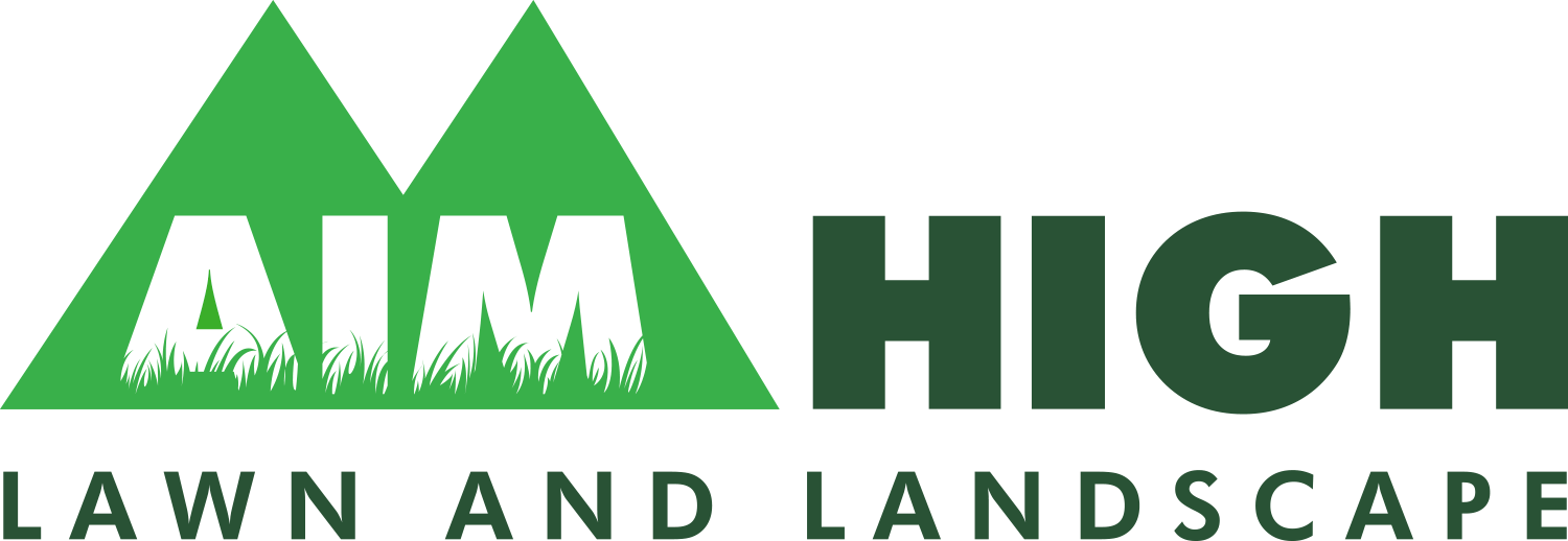 Aim-High-logo-color